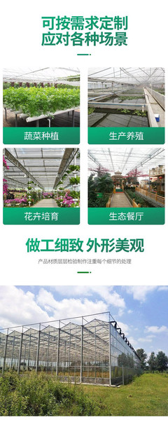 陽光智能溫室BK11 現(xiàn)代玻璃溫室引領(lǐng)蔬菜種植新潮流